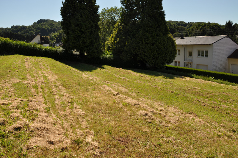 Hier könnte ein neues Bestattungsfeld für Urnen auf dem Friedhof in Gresaubach entstehen.